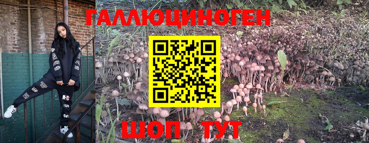 Псилоцибиновые грибы Magic Shrooms  Галлюциногенные грибы Magic Shrooms  Вход с VPN  Йошкар-Ола 